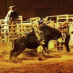 Meet your Posher, Benjamin